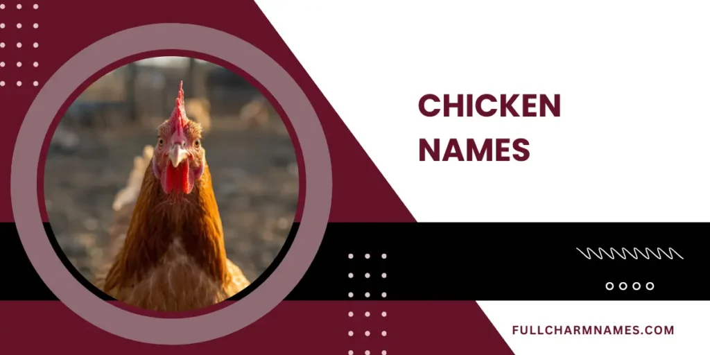 Chicken Names
