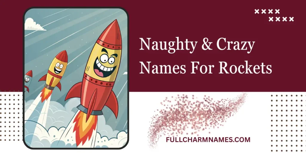 Naughty & Crazy Names For Rockets
