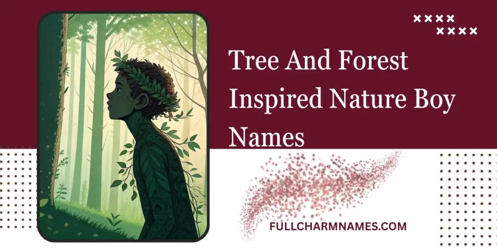 Tree And Forest Inspired Nature Boy Names