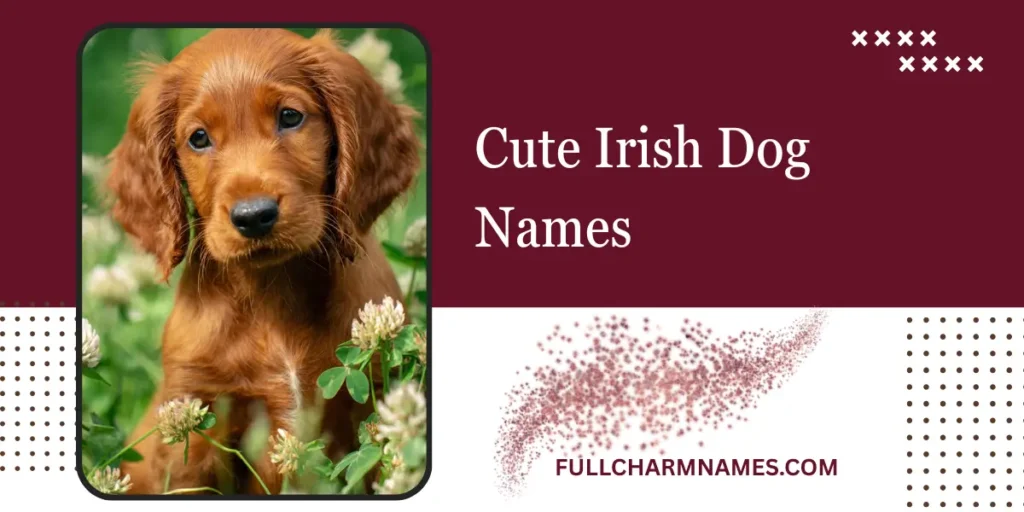 Cute Irish Dog Names