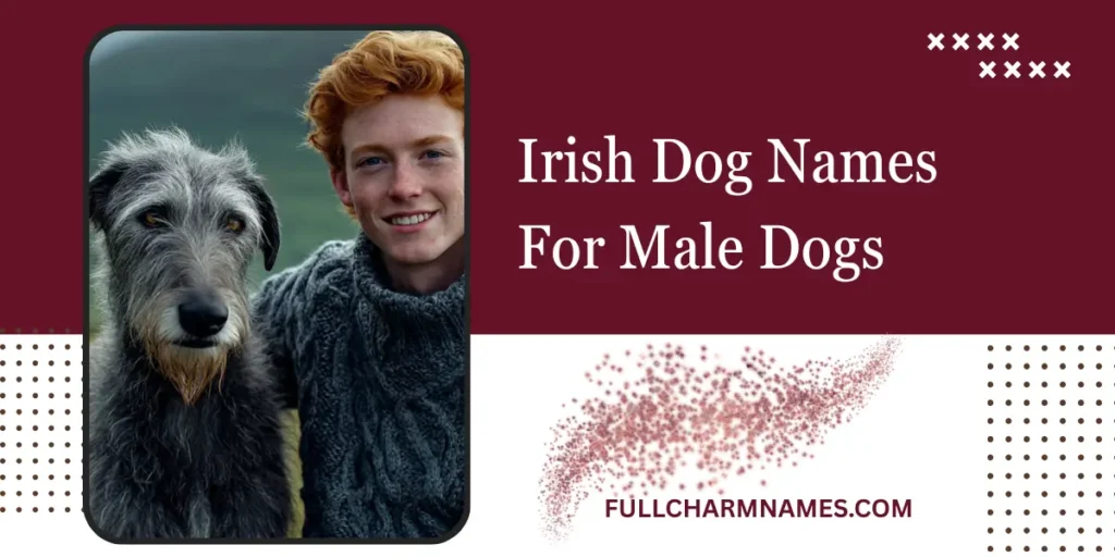 Irish Dog Names For Male Dogs