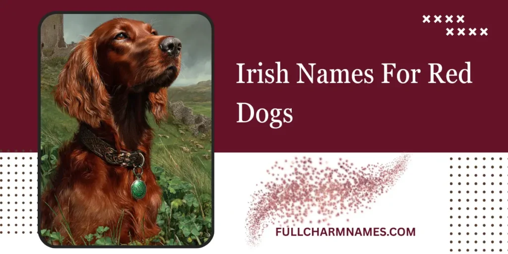 Irish Names For Red Dogs