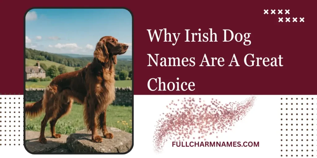 Why Irish Dog Names Are A Great Choice