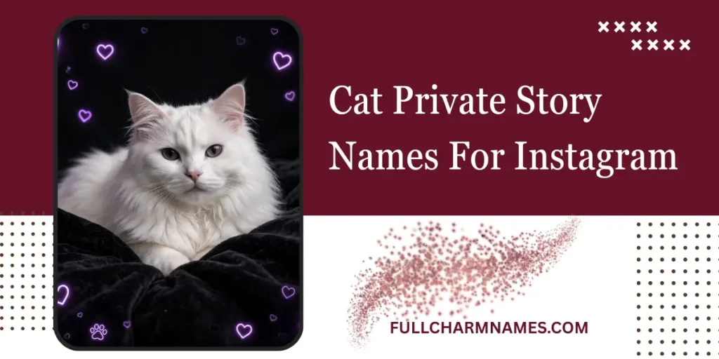 Cat Private Story Names For Instagram