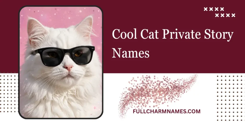 Cool Cat Private Story Names