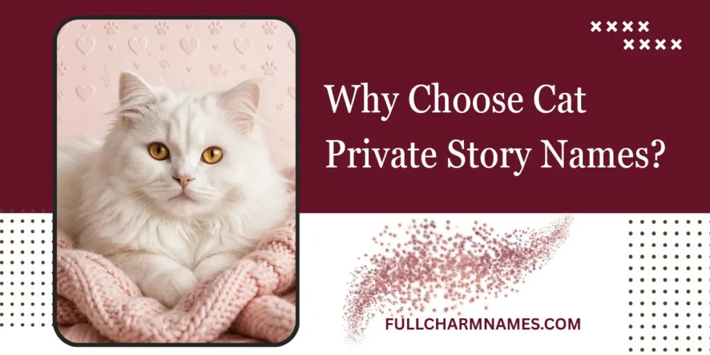 Why Choose Cat Private Story Names